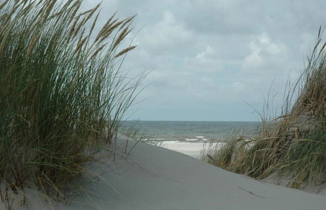 Villa in Midsland Near the Sea - Foto 34