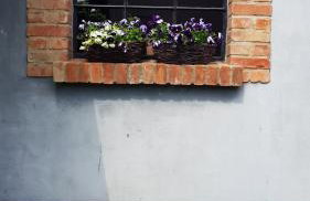 "Dolina szczęścia" Kartkowo - Foto 16