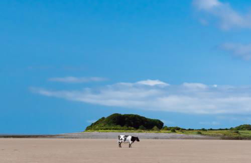 Bridge View - Foto 19