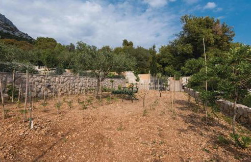 Pet Friendly Home In Orebic - Photo 29