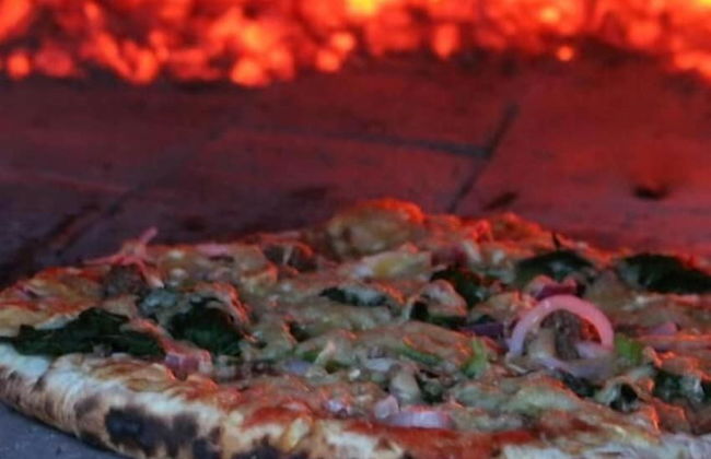 Bushbaby Lodge - Photo 10