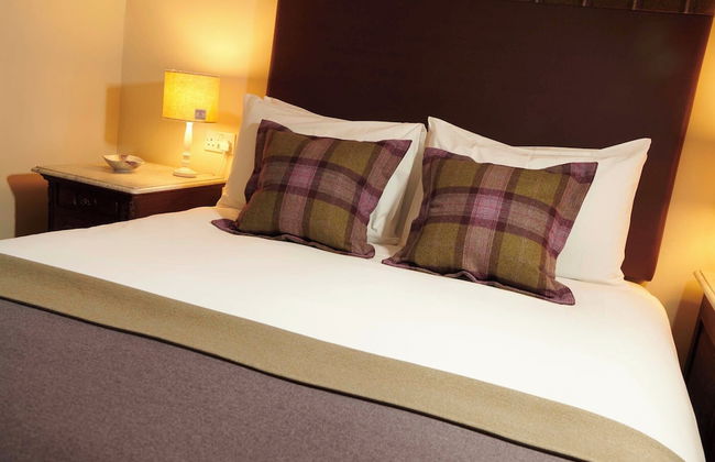 Downright Gabbler - Foto 29