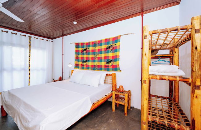 JUMBA LA TRENI - Foto 8