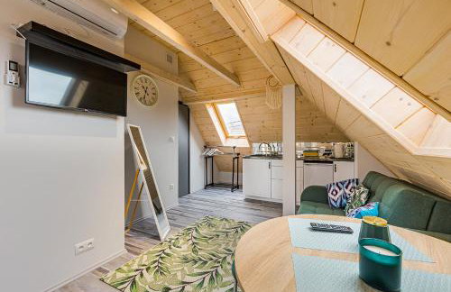 Słoneczna Wetlina Apartament 4 Typu Studio - Foto 6