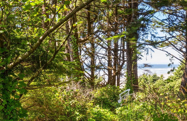 Sandcastle Bluff in Moclips - Foto 28