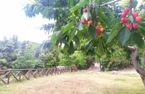 Agriturismo Colloreto - Foto 24