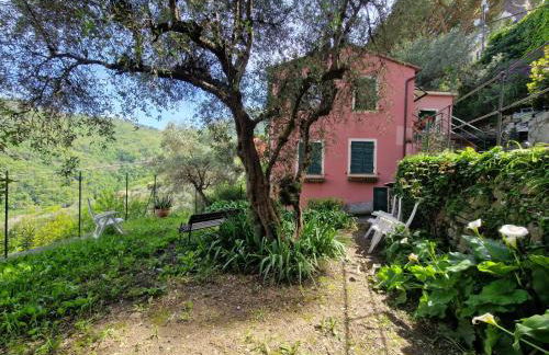 Un Giardino Su Camogli by Holiday World - Foto 40