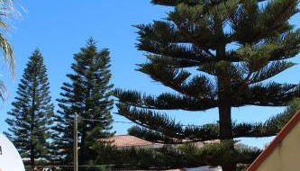 Dimora Veronica - Foto 2