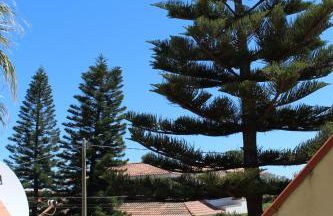 Dimora Veronica - Foto 2