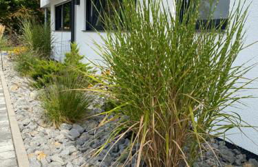 Rainer Appartements - Foto 9