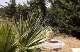 Sole di Sicilia - Foto 12