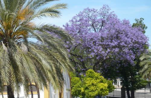 Real Escuela Home - Foto 35