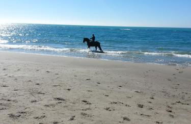 Tenuta Carabollace - Foto 50