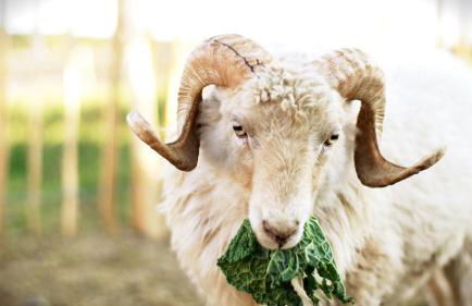 Gut Hügle Jugendzimmer - Foto 22