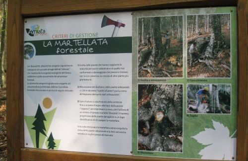 Casa nel bosco alle Macinaie - Foto 33