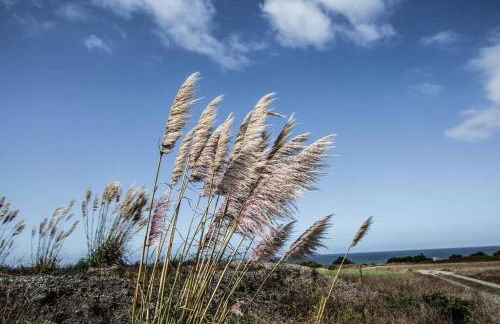 Ocean View Cottage - Foto 1