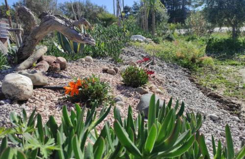 Mountain View Bungalows Dimilia - Foto 35