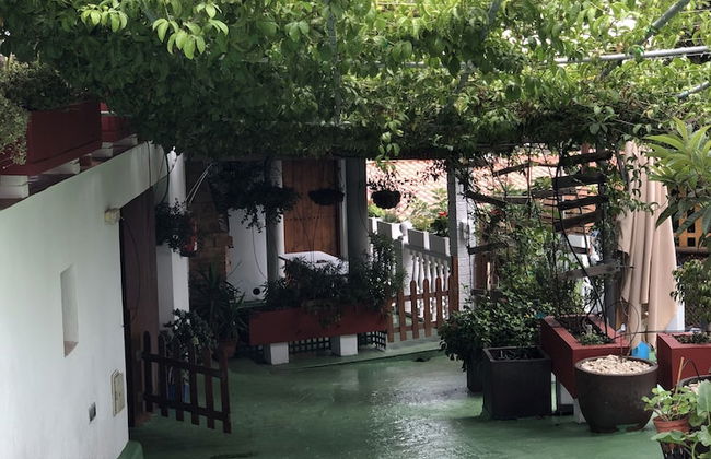 Los Viejitos en Firgas - Foto 71