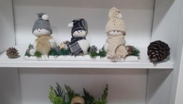 El Rinconin de Degu - Photo 2