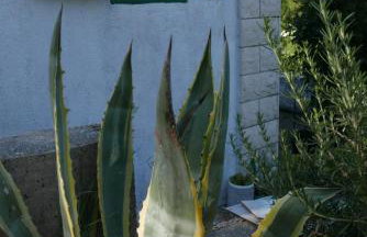 Vacation House "Pave" - Photo 25