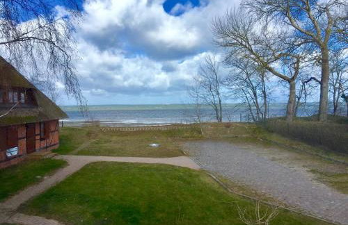 Boddenhus Loissin - Foto 39