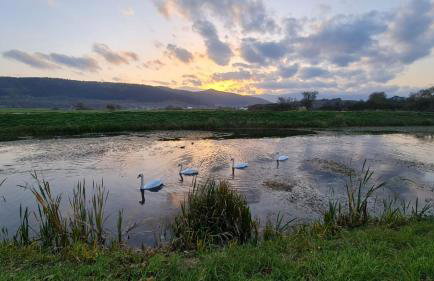 Apartment Pemper - Self check in and check out - Foto 36