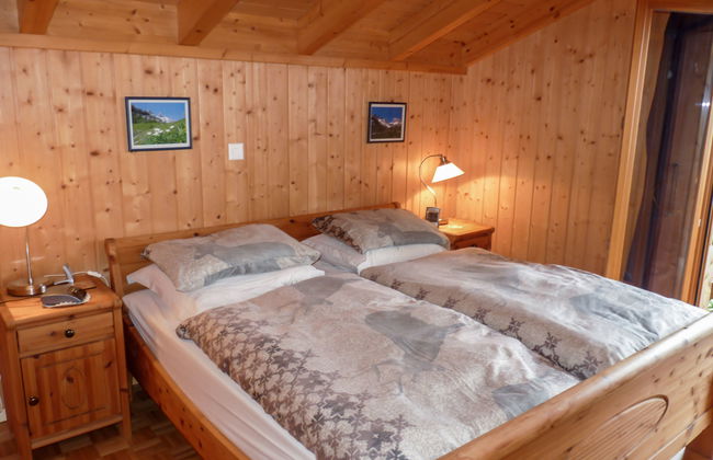 Ecureuil noir - Foto 12