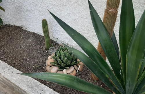 Loft Scala Bianca - Foto 17