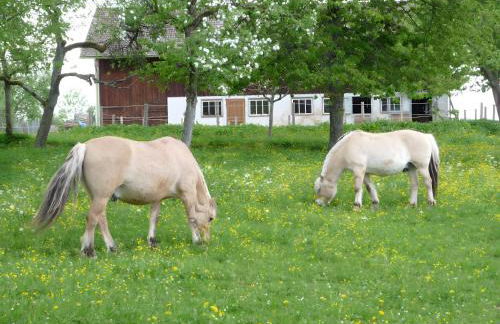 Ferienwohnung Schaible - Foto 16