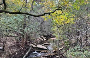 Luxury Home w Hot Tub near DFW Airport - Photo 55