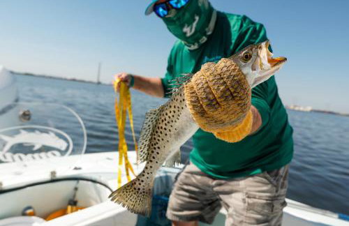 Coastal Cottage in Port Richey, Pet-Friendly Getaway Near Beaches, Parks, and Tampa - Foto 11