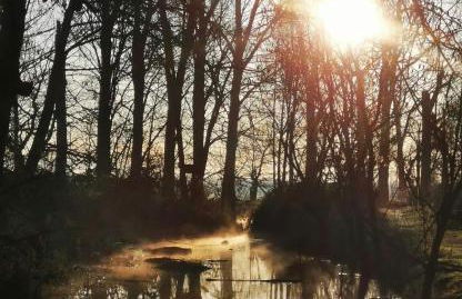 Landhaustraum - Kutscherhaus unter Walnussbäumen - Foto 21