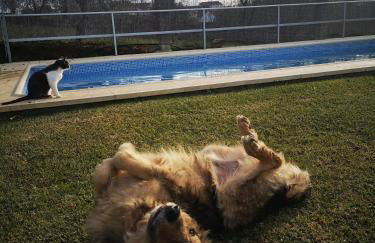 Casa Monte da Eira - Foto 7