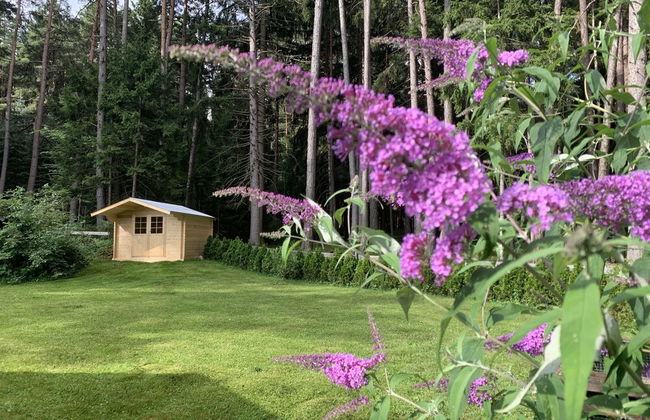 Waldchalet am Eichhof - Foto 20