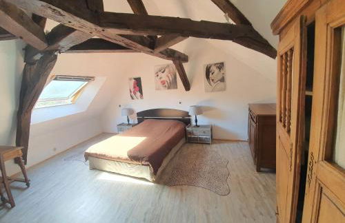 GITE LONGERE DE 15 PERSONNES AU CHATEAU DE JALLANGES VOUVRAY - Foto 10