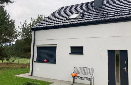 Strefa Natur dom z jacuzzi na wyłączność - Foto 2