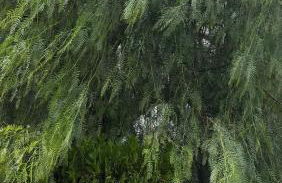 Vintage Home - bilocale in Salento - Foto 6