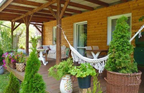 Ptasi Ogród - Foto 19