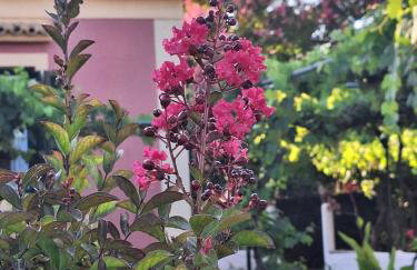 A Sense of Calm & Relaxation - Foto 42