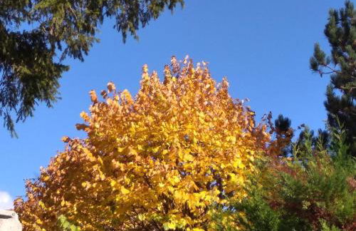 la masseria di Antonio e Teresina - Foto 47