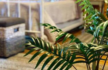 Woodhaven, darling romantic cabin, ATV trails, Mena, AR - Foto 10