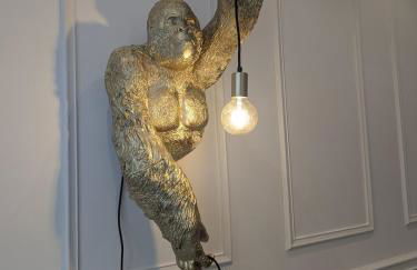 VENI VEDI VICHY climatisé, 50m2 coeur de ville - Photo 41