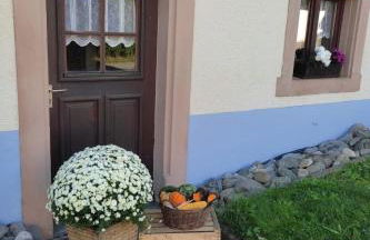 Apartment Ebser by Interhome - Foto 21