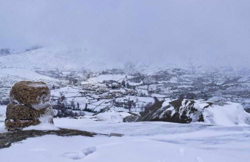 Casa Florestal, na Branda da Bouça dos Homens - Foto 37