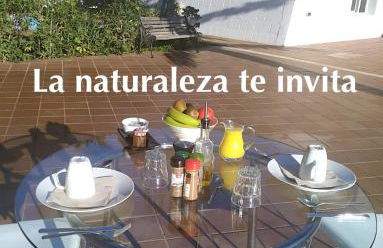 Starbal Apt - Foto 7