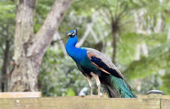 HACIENDA ILUMINADA ECO RETREAT - Foto 25