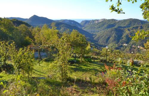 Woodland Escape With Pool - Foto 60