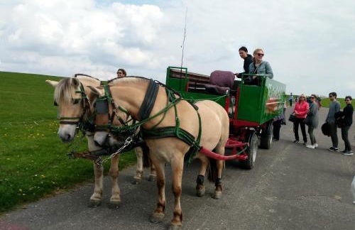 Ferienwohnung-Treeneblick - Foto 39