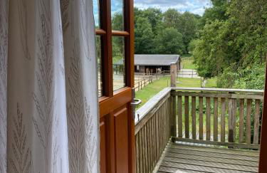 Ferienhof Trapp Heuhotel - Foto 107