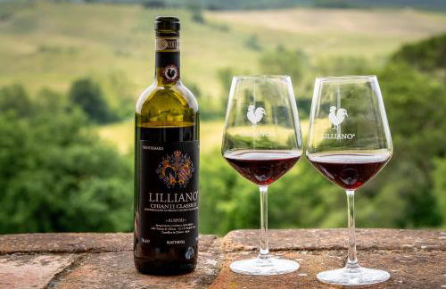 In The Heart Of Chianti, Pool, Wifi, View - Lilliano - Foto 117